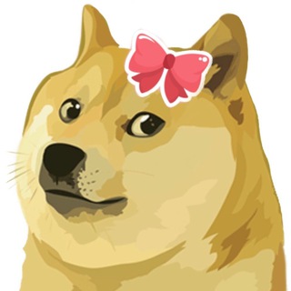 MRSDOGE
