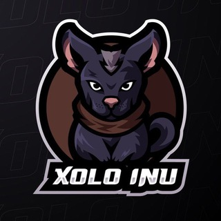 XL